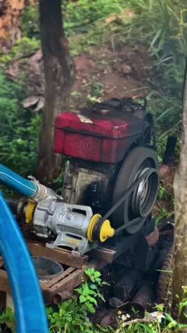 Vẫn còn đẩy tốt😆#xuhuong #fyp #tâynguyên #càphê #sầuriêng 