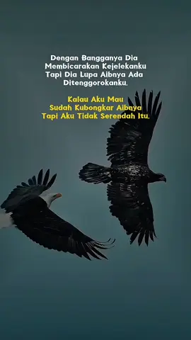 #katakata 