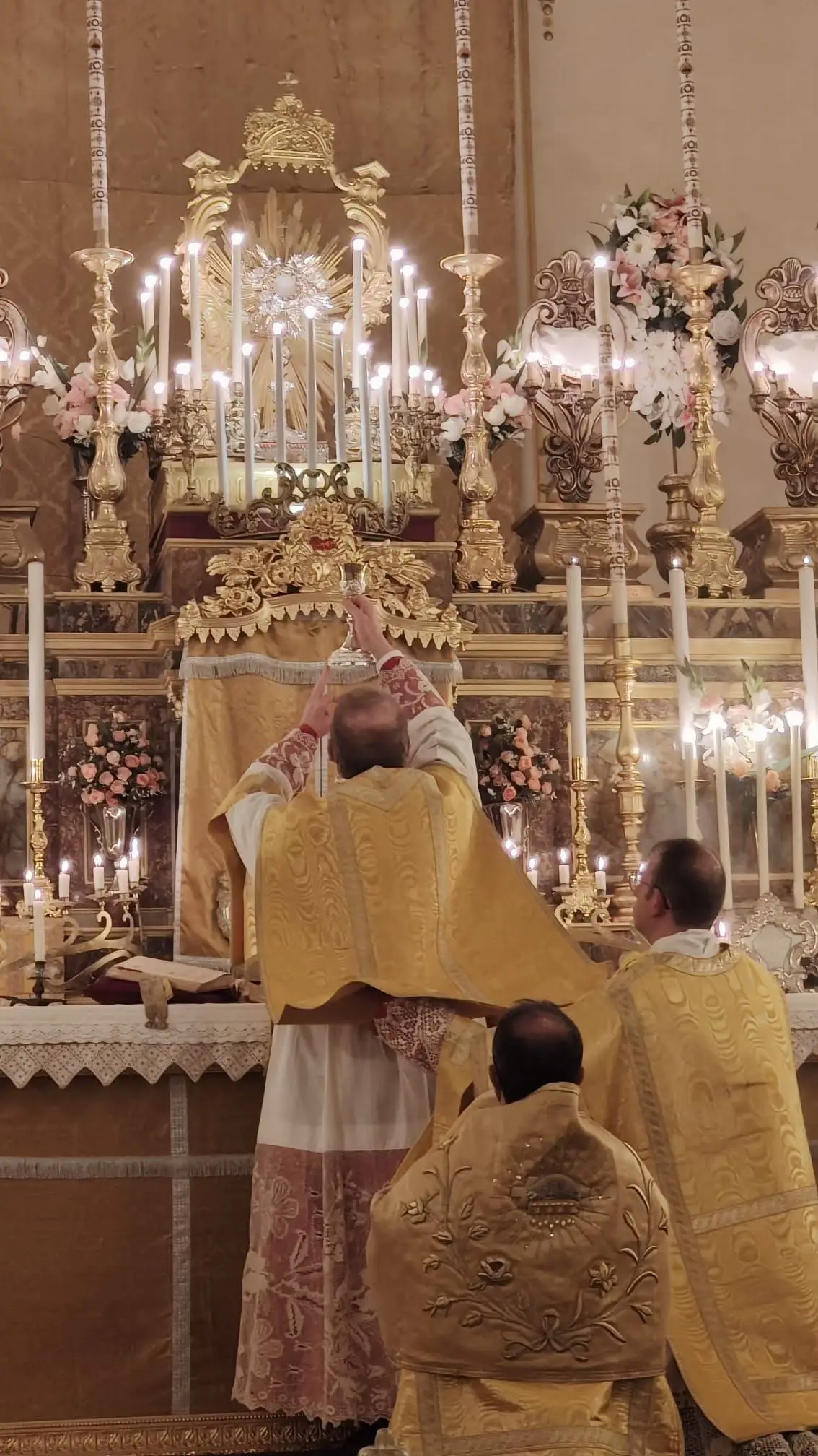 Mass tradition latín 🕊️ El santísimo de eucaristía #comulgar #basilica #ceniza #evangelio #ofrendas #incensario #altar #virgen #santamaria #rosario #hostia #jhs #buenpastor #profeta #diacono #liturgia #catholic #vocacion #reza #Eucaristía #santísimo #diacono #vaticano #mass #traditional #latin #mons #ceremonia #photography