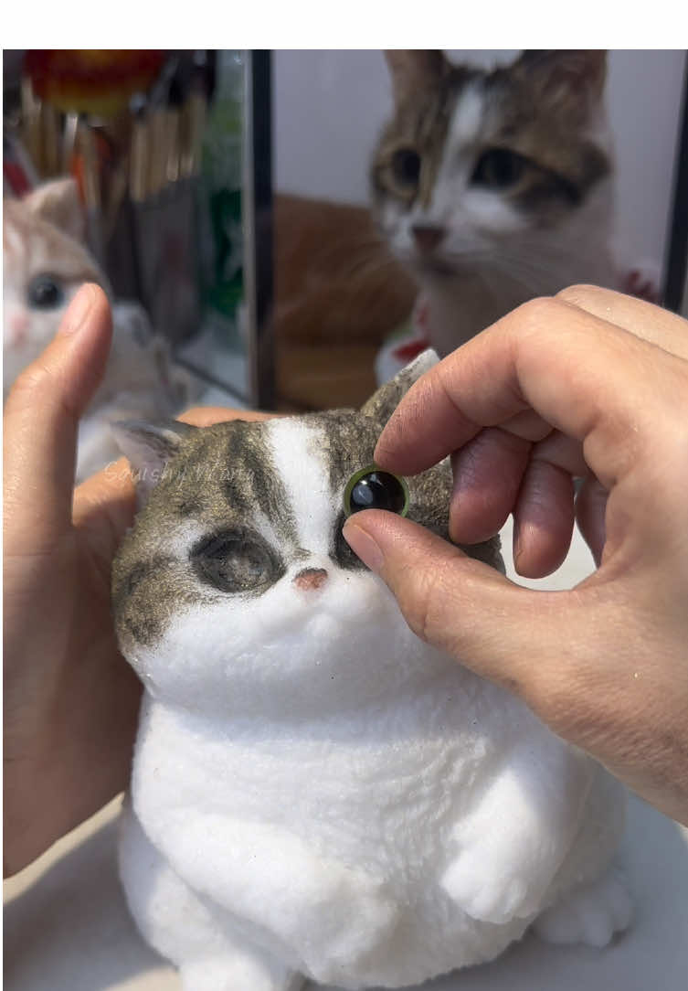 Glue the eyes for the cat.#cat #DIY #fy #handmade #squishy #art 