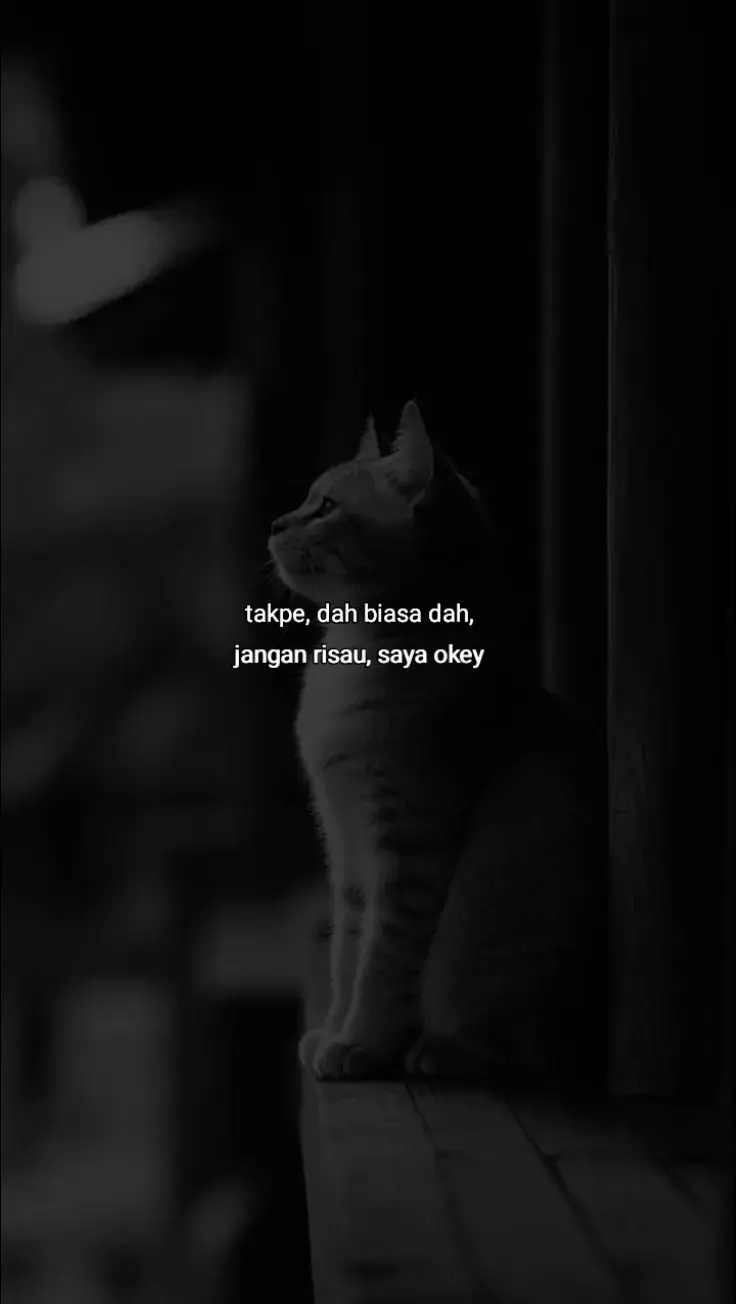 #justcontent #storywa #fypシ゚viral 