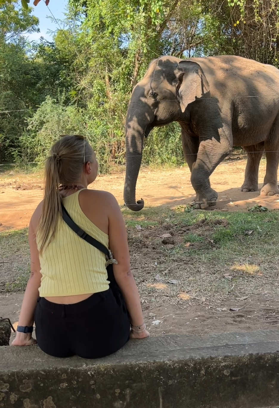 1217 km in 16 days 🛺💚 #srilanka #tuktuk @kittyleeneman 