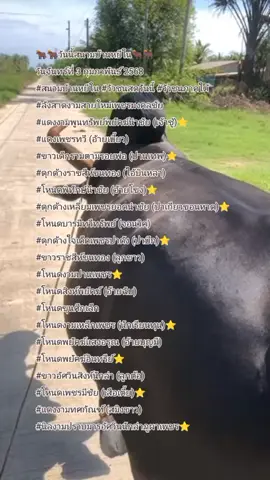 🐂🐂วันนี้สนามบ้านหยีใน🐂🐂 วันจันทร์ที่ 3 กุมภาพันธ์ 2568 #สนามบ้านหยีใน #วัวชนสดวันนี้ #วัวชนภาคใต้ #ลังสาดงามสายใหม่เพชรมงคลชัย #แดงงามพูนทรัพย์พยัคฆ์นำชัย (เจ้าชู้)⭐ #แดงเพชรทวี (อ้ายเบี้ยว) #ขาวเด็กรามตามรอยพ่อ (ปานเทพ)⭐ #ดุกด้างราชสีห์ขนทอง (ไอ้บินหลา) #โหนดพิทักษ์นำชัย (อ้ายโขง)⭐ #ดุกด้างเหลี่ยมเพชรยอดนำชัย (ปาเกียวขอนหาด)⭐ #โหนดบารมีทวีทรัพย์ (จอนวิค) #ดุกด้างใจเด็ดเพชรปาดัง (ปาบึก)⭐ #ขาวราชสีห์ขนทอง (ลูกขาว) #โหนดงามปานเพชร⭐ #โหนดสิงห์พยัคฆ์ (อ้ายฉับ) #โหนดขุนศึกเล็ก #โหนดงามเหล็กเพชร (นักเรียนทุน)⭐ #โหนดพยัคฆ์แสงอรุณ (อ้ายบุญมี) #โหนดพยัคฆ์อินทรีย์⭐ #ขาวอัศวินสิงห์นักล่า (ลูกต้อ) #โหนดเพชรมีชัย (เสือเตี้ย)⭐ #แดงงามทศกัณฑ์ (สมิงขาว) #นิลงามปราบมารอัศวินนักล่าภูผาเพชร⭐