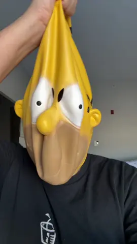 YO ERA HOMERO 