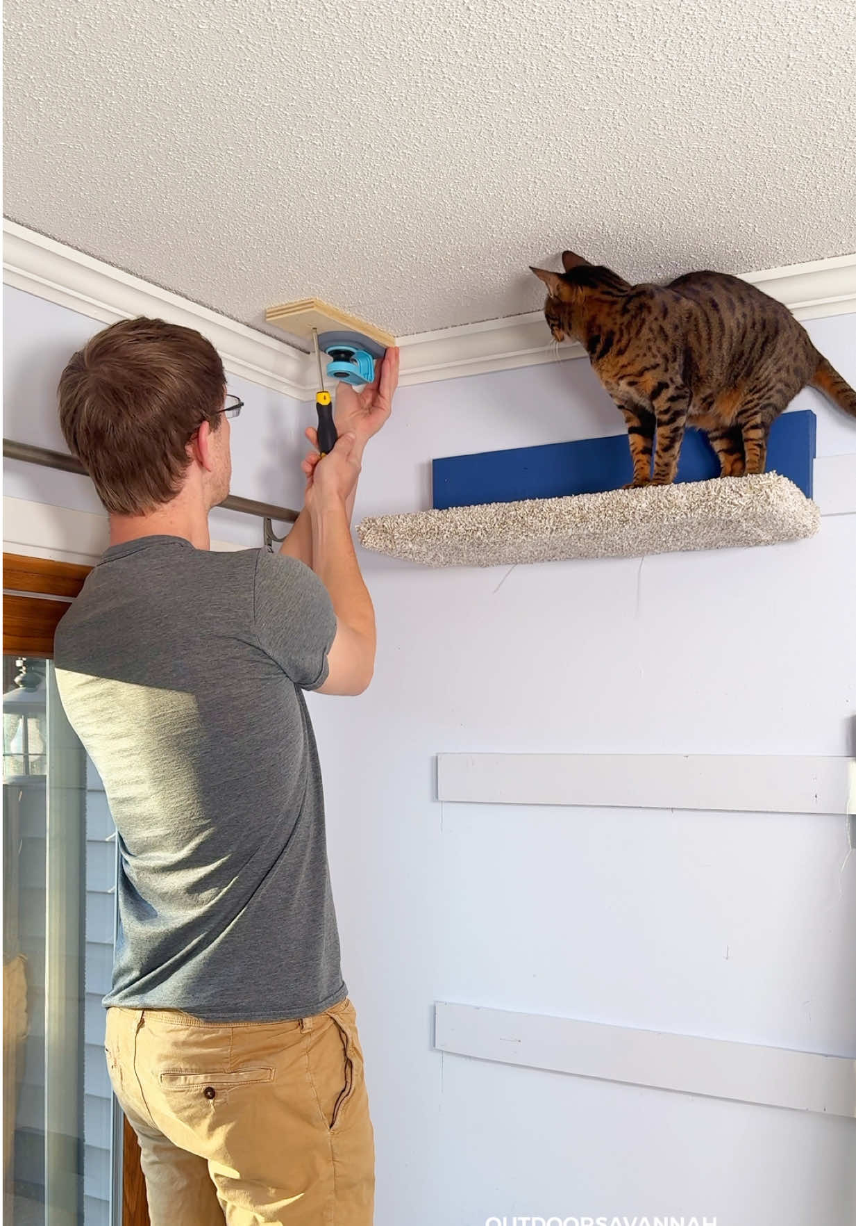 Ceiling String Toy for a Cat #rajaanddavid 