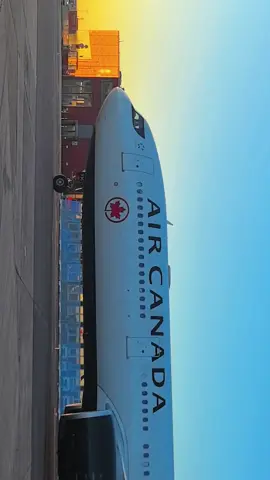 #aviationlovers #sun #morning #airport #germany🇩🇪 #canada_life🇨🇦 #FRA #frankfurt #planespotting #4you #trip #flypシ #flying #avgeek #pilot #travel #beutiful 