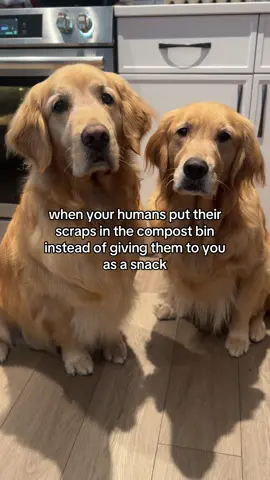 is this some kind of sick joke