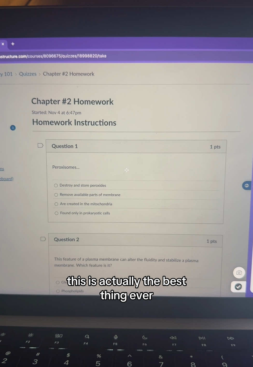 the BEST way to study📚