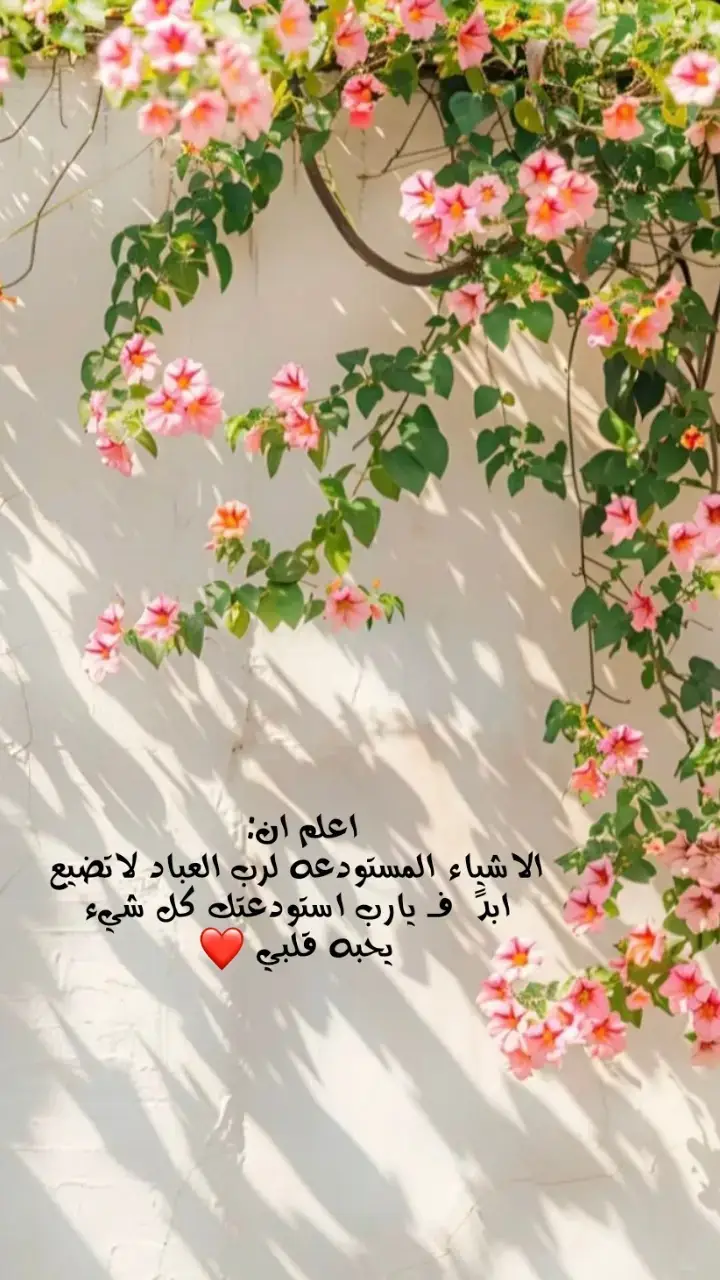 #❤🕊 