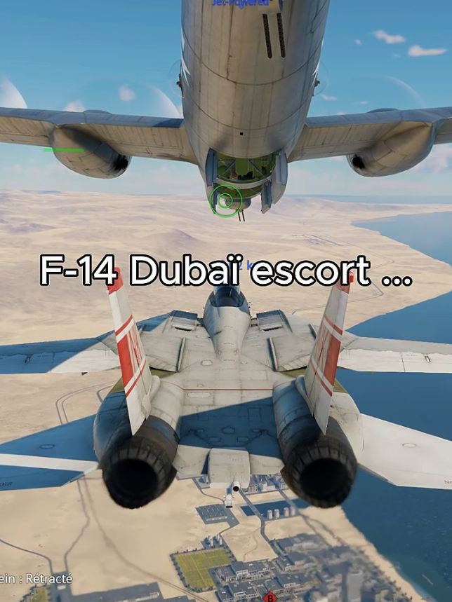 f-14 escort 💅 #warthunder #warthunderplanes #warthundermemes #attackthedpoint #warthunderaviation #warthundertiktok 