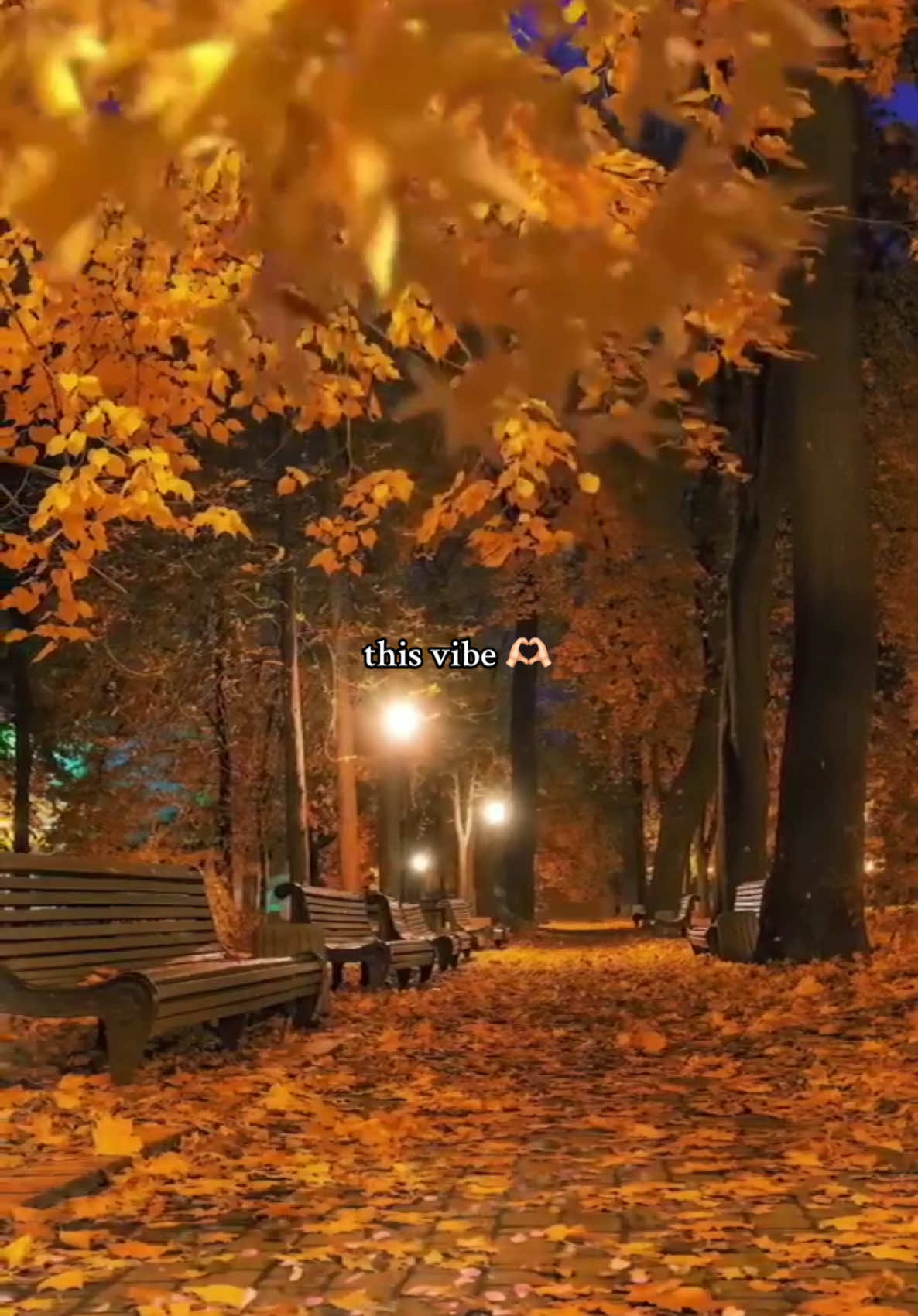 #vibe #fall #october #rainlover #rain #autumnaesthetic #autumn #bermonths #gloomy #leaves #autumncolors #mood #jesień #cozy #fypdong 