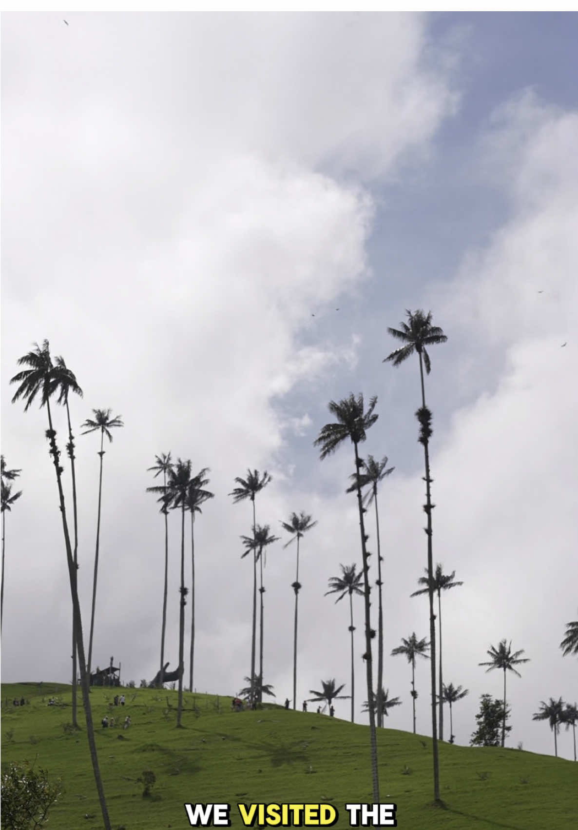 There’s nothing like Colombiaaa☕️🇨🇴 #fyp #travelcolombia #ejecafetero #colombiatravel #trend 