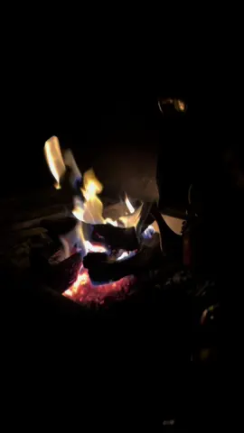 #المشب #شاهي #احمر 