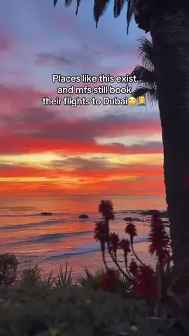 George was on the drums . . . #travel #travelhumor #nature