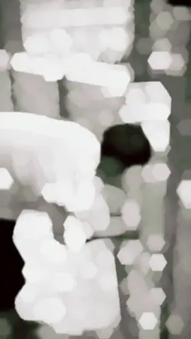 ✨ #Ramadan#rajinsholat#mencariberkahdanpahala#aldi