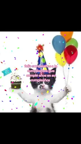 @Lii    🍄 feli cumpleaños a la más linda del mundo 😜💗  tmqqq 🎁 #gatos #happybirthday #amiguitas💗 