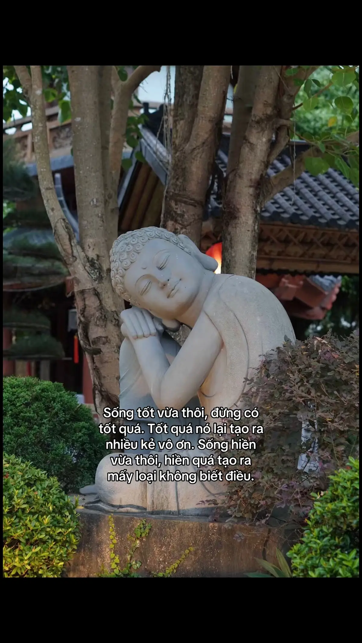 Sống tốt vừa thôi, đừng có tốt quá. Tốt quá nó lại tạo ra nhiều kẻ vô ơn. Sống hiền vừa thôi, hiền quá tạo ra mấy loại không biết điều.