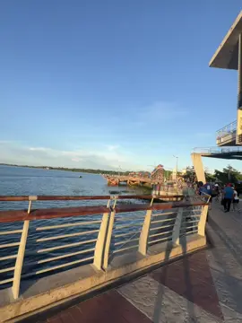 #pucallpaperú🌴🦜🐍🐢🦥 