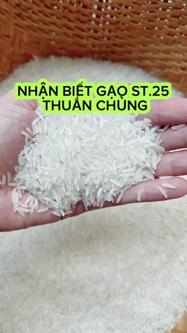 Nhận biết gạo ST.25 thuần chủng #gaosachtamduc #gaocantho  #gaost25  #gao 