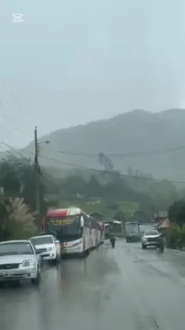 #amolosbuses #busologos❤️✨🚌💨 #verdecitosdecorazon💚💚 #viajerosinternacional #lojainternacional🚍🇪🇨🚍  #surorienteinterprovincial 