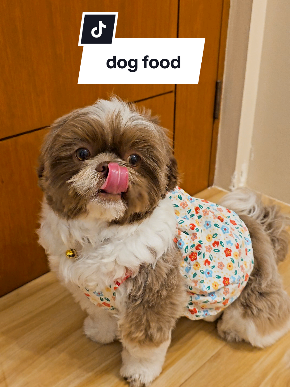 buti mura lang tong petmarra dog food na paborito ng mga shihtzu ko #petmarradogfood #petmarradogdryfood #petmarra #dogkibble #dogfoodrecommendation #dogdryfood #dogfood #dryfood #petfood #pickyeaterdog 