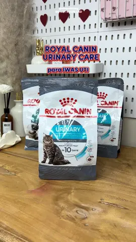 Royal CANIN urinary care IWAS UTI CAT FOOD #iwasuti #catfood #dryfood #ca #catsoftiktok #royalcanin 