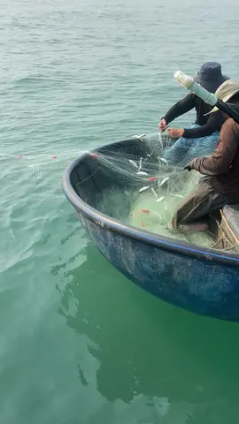 #xuhuongtiktok #thịnhhanhtiktok cá sòng # 