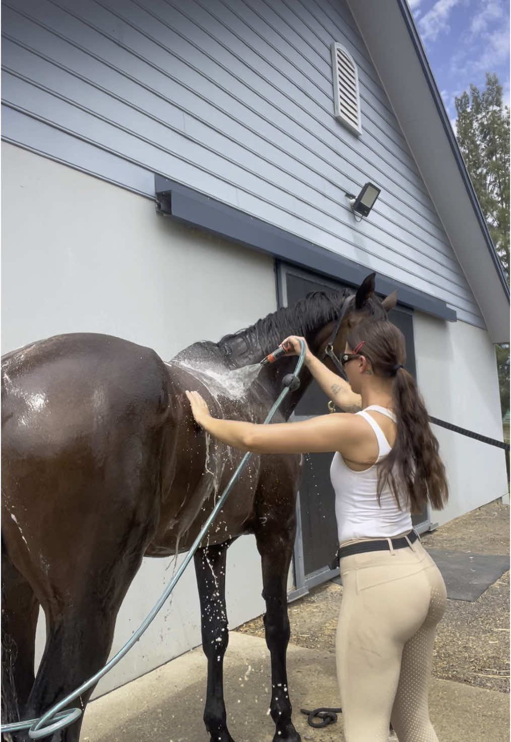 Wash Lunar with me ✨🫶🏼🐴 #horsegirl #aussiegirl #equestrian #horses 