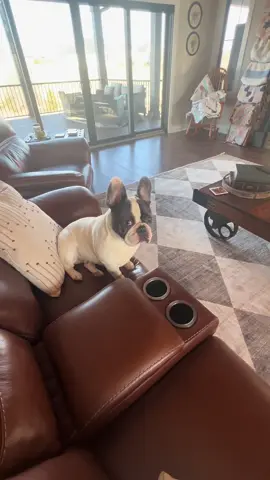 Time to do my version of spring cleaning #rugs @Rugs USA 