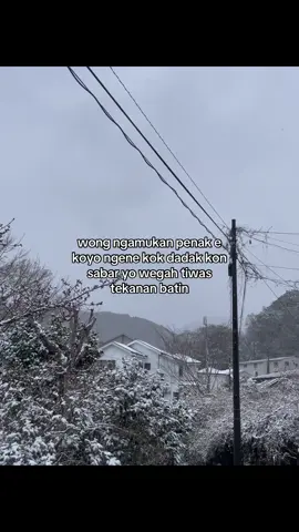 penak ngamuk terus betmut😚