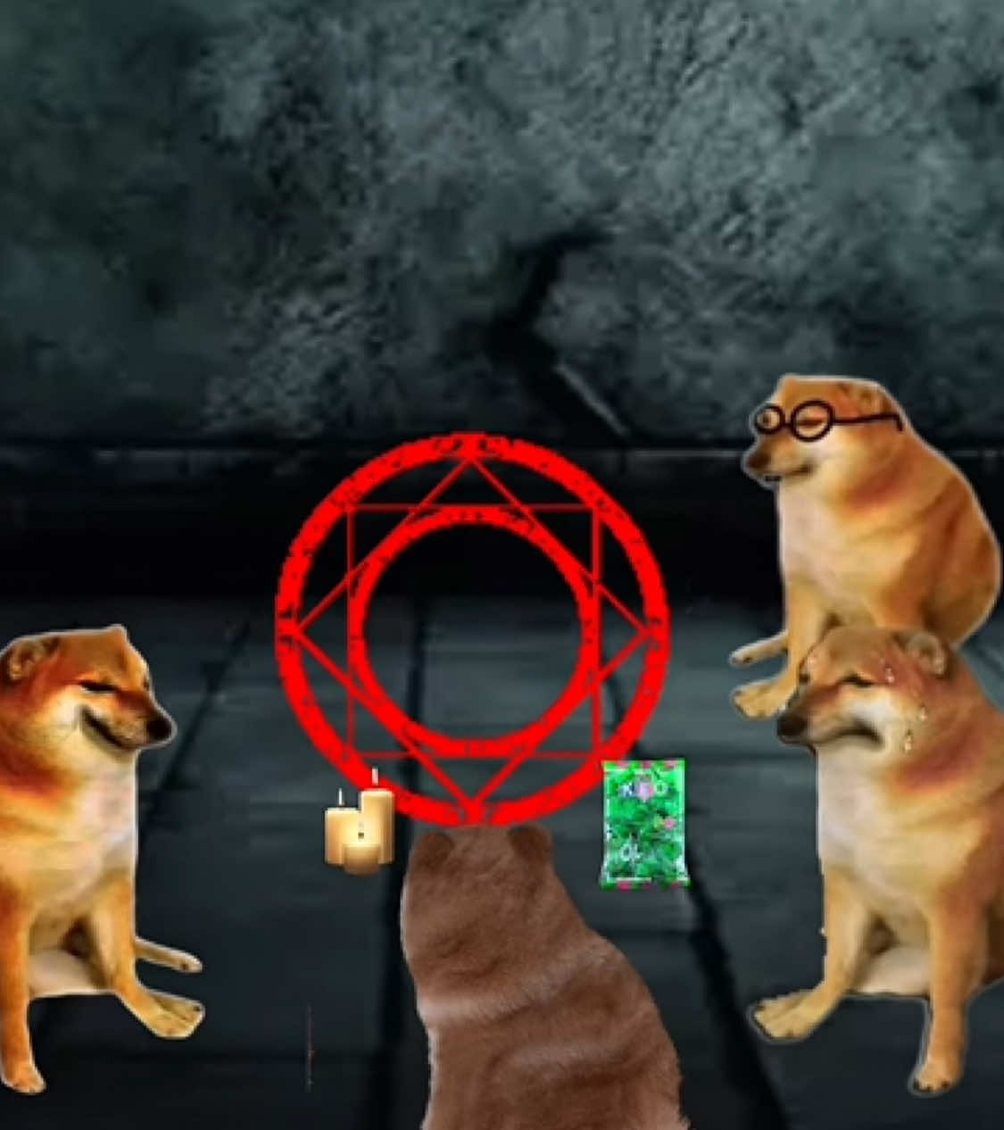 ĐỪNG BAO GIỜ TRIỆU HỒI QUỶ S… 😭#xh #haihuoc #fyp #meme #cheems #quỷ #sếch #anbatocom 