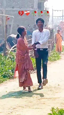 #my #new #trandingvideo #biheko #vairal #10milionview #vairal #vairalvideo😭😭😭🙏🙏🙏👍👍👍 #@⚡🔗😈D..Â..K..Û😈🔗⚡ @⚔️Ꭹ𝙰𝙳𝙰ꪜ〲Ꮪꭺꭱ㉿ꭺꭱ ࿐⚔️ @❤️‍🩹November_2 🇦🇺✈️ @Anisha yadav 