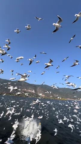 Hồ Điền Trì - china