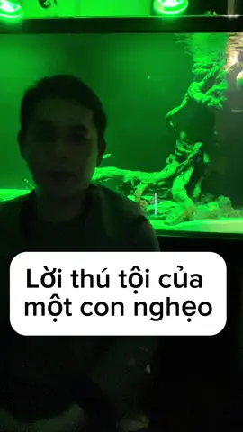 Cơn fét sần @Linhlinhbeauty #aquarium #viral #xuhuong #bểcáthuỷsinh #tiktokviral #cá #trending #thuỷsinh #cácầuvồng 