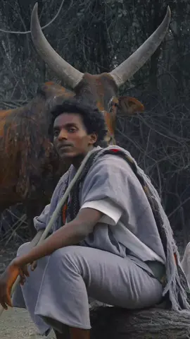 #ethiopian_tik_tok🇪🇹🇪🇹🇪🇹🇪🇹 #eritreantiktok🇪🇷🇪🇷habesha #ራያ_ራዩማ🌽🌾🌽🌾 #አማራዬ💚💛❤አማራዬ💚💛❤ #ፋኖመከታቺን💚💛❤💪💪✅ቤተአማራ💚💛❤✊💒❤🤝❤🕌 