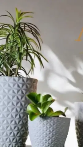 kit com 3 Vasos para plantas em Polietileno redondo diamante PP, P e M com pratos coletores#decoracoes #jardinagem 