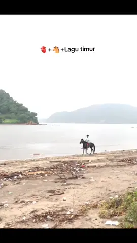 #fypppp #kudapacua🐎 #ntbpride🏝️🌊🏖️ 