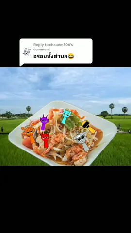 Replying to @chaaem506 ถ้าถามว่าอร่อยไหมก็อร่อยแต่.... เตรียมห้องน้ำไว้1ที่ๅ If you ask if it's delicious, it is delicious but.... Prepare a bathroom for 1 place.  #incredibox #sprunki #sprunkiMEME 