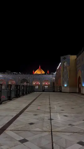 يا باعثًا في الروحِ سرَّ وجودِها  إذ كنتَ للروحِ اليتيمةِ والِدَا #العتبة_العلوية_المقدسة  #ميرزا🍂  #النجف 