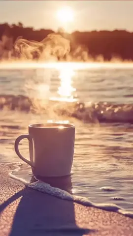 💖 @hotcoffee0508 ... Good morning☀️☕️ #GoodMorning #SunriseVibes #BeachCoffee #CozyMornings #TropicalSunrise #OceanView #RelaxingMoments #AustraliaBeaches #MorningGlow #naturelover