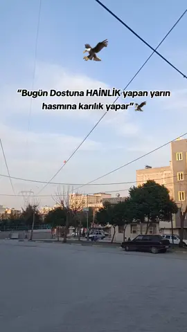 storylik🦅 #storytime #şanlıurfa 