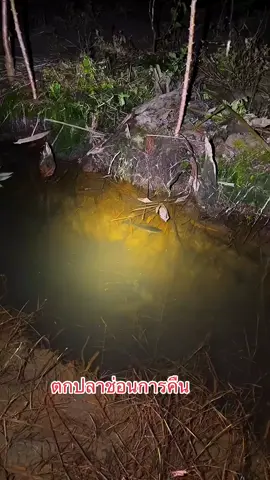 ตกปลาช่อน#ตกปลาช่อนข้างทาง #ตกปลาช่อน 