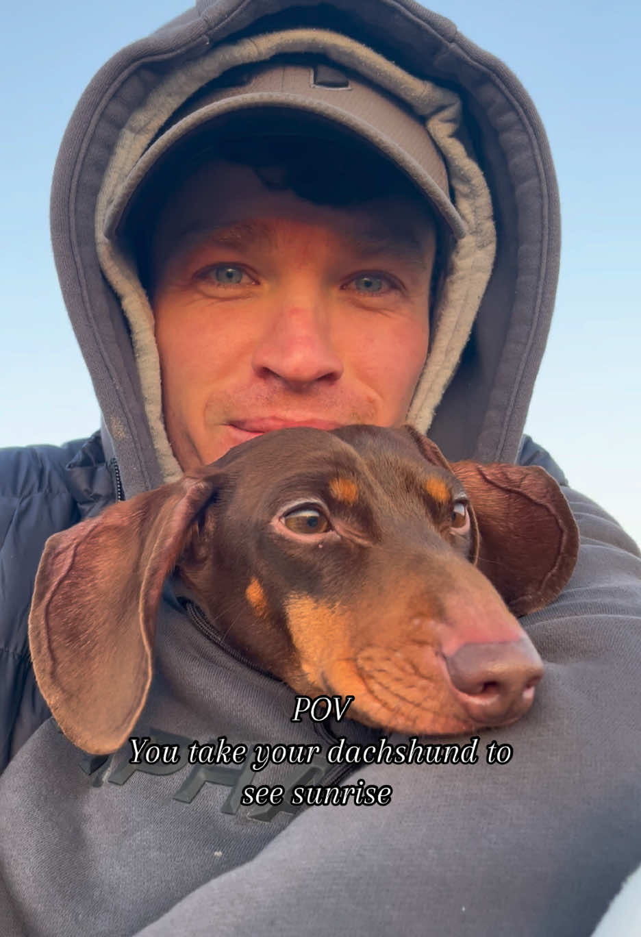 Definitely worth the early alarm #fy #dachshund #dachshundsoftiktok #sausagedog #pet 