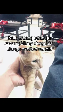 #fyp #sadstory #galaubrutal🥀 