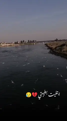 ابتليت بطيبتي 💔😥 .........................................................................#الفنان#احمد#الجبوري#موال#حزين#جدا#عتابات#مواويل#حزينه#جدا#تصويري#اجواء#العتيق#موصل#ام#الغربيه#محمود#العامري 