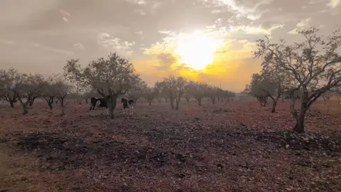 شو رأيكم بل فيديو ❤️‍🩹😍 #وبكفرهم_وقولهم_على_مريم #مدينة_الباب #رمضان_مدينة_الباب #رمضان_يجمعنا #تصوير_الطبيعة☘️🌲📸 