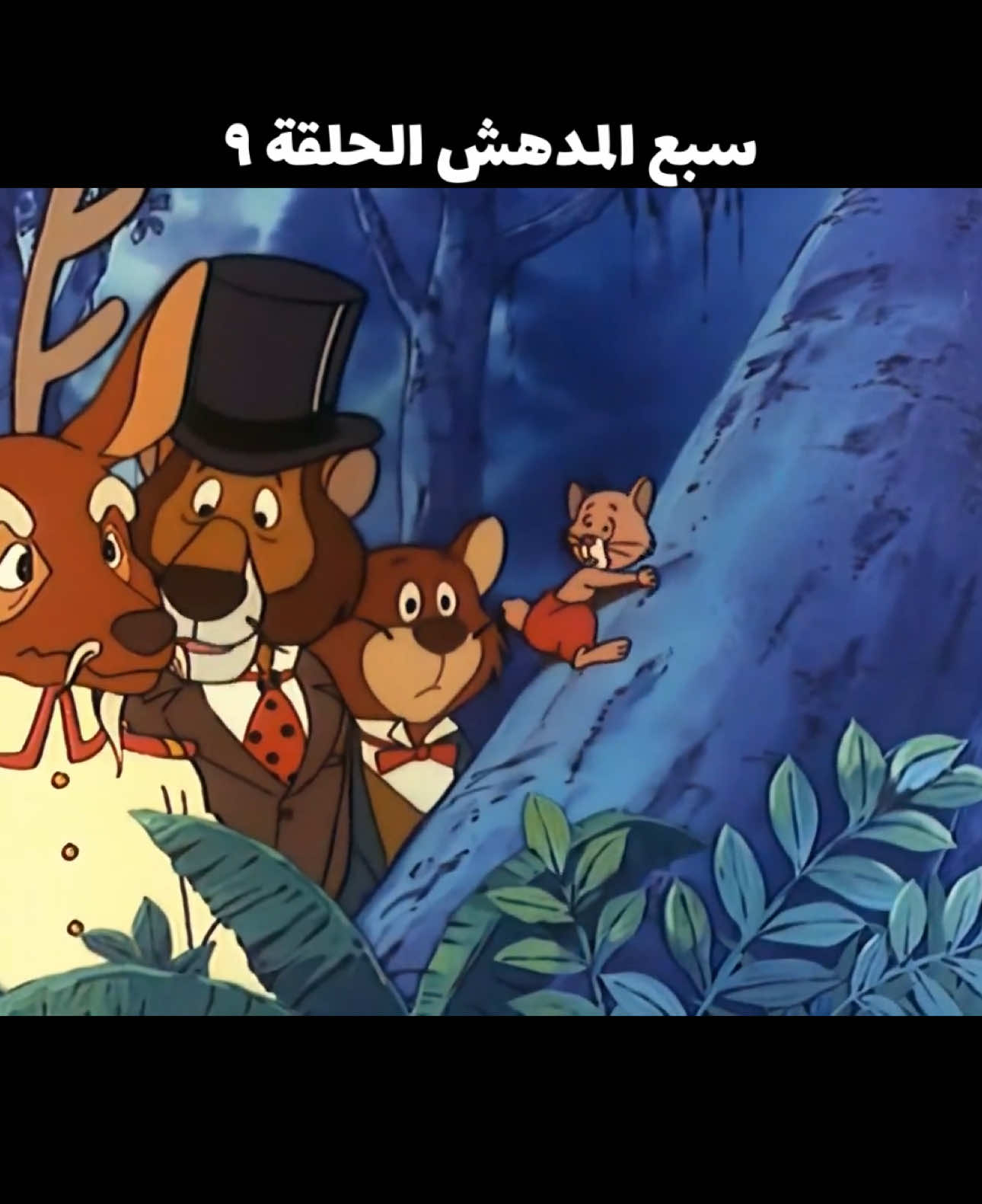 #اسعدتم_مساءا_اينما_كنتم🌹🌹  #جيل_الطيبين  #فلو  #اكسبلور 