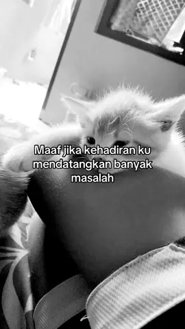 #fyppppppppppppppppppppppp #fyp #4u 