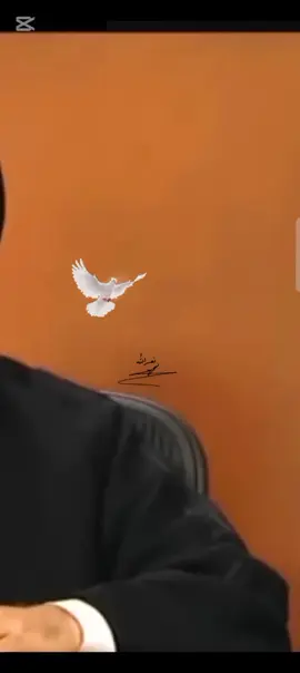 وجدتك بعضي ❤️‍🩹#سماحة_العشق #CapCut 