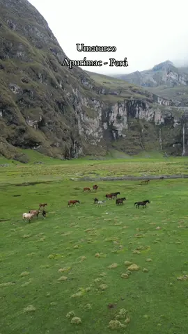 En el corazón de Apurímac, un lugar mágico, cataratas de umaturco...  📍 Circa - Abancay - Perú  🔼 4500msnm . . #cataratasdeumaturco #circa  #umaturco #peru🇵🇪 #abancay #apurimac #mochileros #lugaresmagicos #montañas #paisajes #paisajesdelperu #paz #pampacahuana #andes #trekking #cascadas #naturaleza 